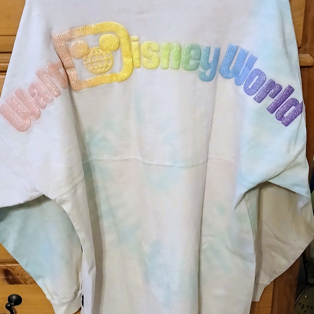 Walt Disney World Pastel Rainbow Spirit Jersey With Whimsical Design